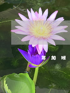過年加班費怎么算（員工加班有時間限制嗎）