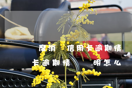 過度消費信用卡逾期情況說明 過度消費信用卡逾期情況說明怎么寫