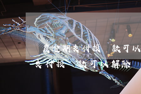 過度逾期支付投資款可以解除嗎-過度逾期支付投資款可以解除嗎知乎