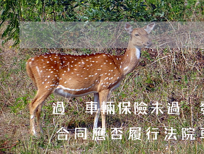 過戶車輛保險未過戶發(fā)生車禍，保險合同應否履行，法院：車輛過戶未致危險程度增加，保險公司應當賠償