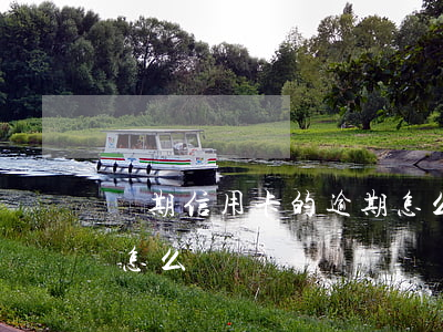 過期信用卡的逾期怎么處理(信用卡有過逾期怎么辦)