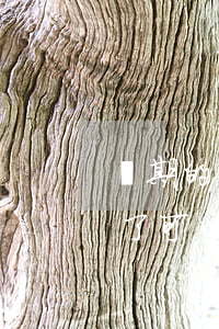 過期的身份證可以進法院嗎(原告身份證過期了,可以法院起訴嗎)