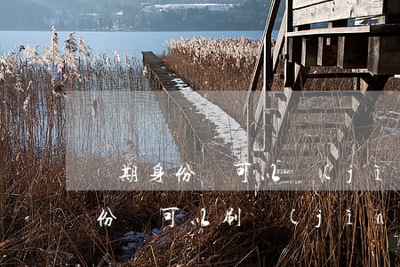 過期身份證可以進(jìn)站不(過期了身份證可以刷進(jìn)站嗎)