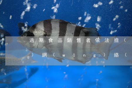 過期食品銷售者依法擔(dān)責(zé)，網(wǎng)絡(luò)平臺(tái)依法盡責(zé)無需擔(dān)責(zé)