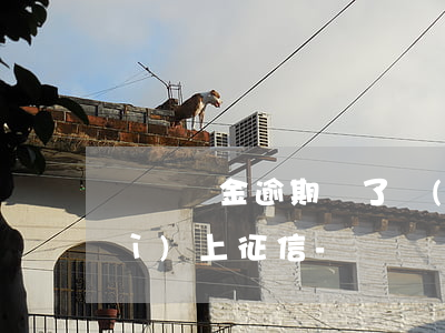 過橋資金逾期還了會(huì)不會(huì)上征信-過橋資金逾期還了會(huì)不會(huì)上征信了