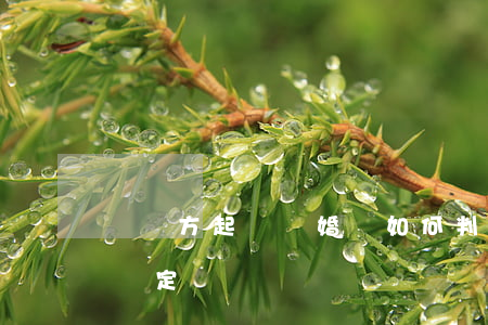 過錯方起訴離婚該如何判(離婚案過錯方怎么認定)