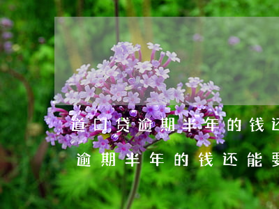 道口贷逾期半年的钱还能要回来吗-道口贷逾期半年的钱还能要回来吗知乎