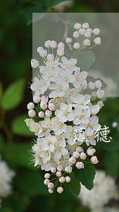道德與法律(道德與法律)
