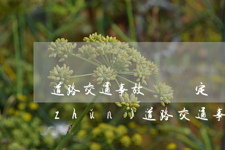 道路交通事故傷殘鑒定標(biāo)準(zhǔn)(道路交通事故傷殘鑒定標(biāo)準(zhǔn)全文)