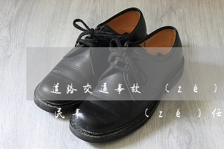 道路交通事故責(zé)任劃分是否等同于民事賠償責(zé)任劃分