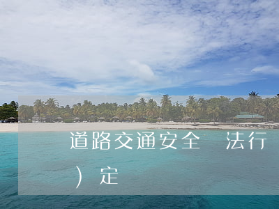 道路交通安全違法行為處理程序規(guī)定