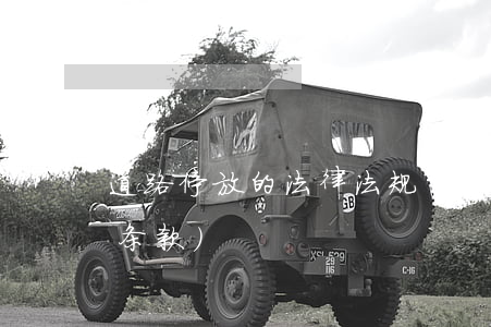 道路停放的法律法规(请教：道路停车的法规条款)