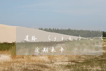 道路運(yùn)輸經(jīng)營許可證逾期未年審-
