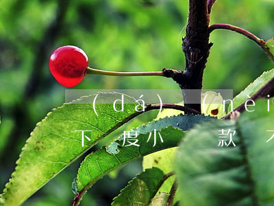 達(dá)內(nèi)沒(méi)上線下課度小滿還款還不起(達(dá)內(nèi)度小滿分期)