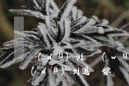達(dá)州債務(wù)案律師哪位好(達(dá)州追債律師)
