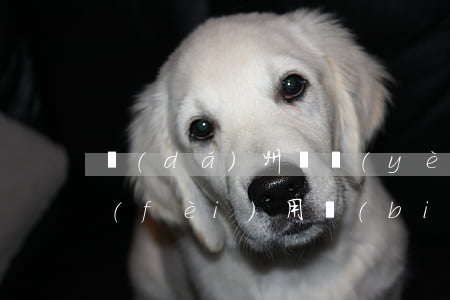 達(dá)州專業(yè)離婚訴訟律師費(fèi)用標(biāo)準(zhǔn)(離婚訴訟案律師收費(fèi)標(biāo)準(zhǔn))