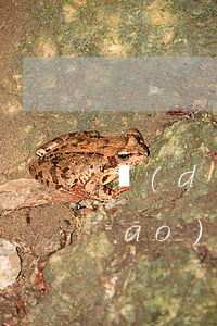達(dá)州律師收費(fèi)標(biāo)準(zhǔn)（達(dá)州請(qǐng)債務(wù)律師）