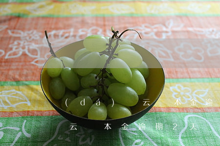 達(dá)飛云貸本金逾期2天(達(dá)飛云貸本金逾期2天)