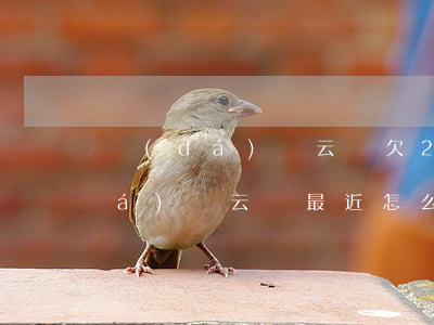 達(dá)飛云貸欠26000沒還(達(dá)飛云貸最近怎么回事)