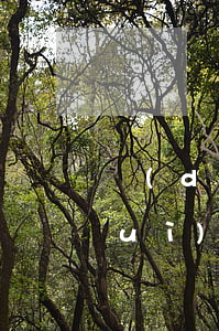 達(dá)飛云貸欠2萬(wàn)會(huì)坐牢嗎(達(dá)飛云貸不還有什么后果)