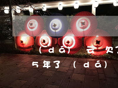 達(dá)飛云貸欠了兩萬(wàn)逾期5年了(達(dá)飛云貸5年沒(méi)還)