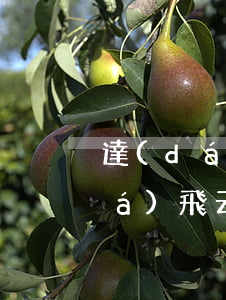 達(dá)飛云貸欠了好幾年催款了(達(dá)飛云貸已經(jīng)還款收到催款信息)