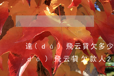 達(dá)飛云貸欠多少還多少可以嗎(達(dá)飛云貸欠款人2000多要還3000多怎么辦)