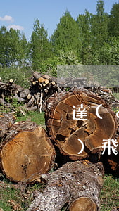 達(dá)飛云貸欠錢能起訴嗎-達(dá)飛云貸借款不還會(huì)有什么后果