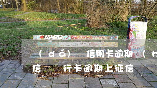 達(dá)飛信用卡逾期會(huì)上征信嗎(飛行卡逾期上征信嗎)