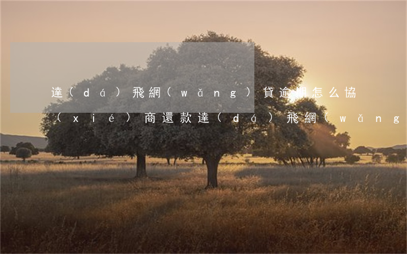 達(dá)飛網(wǎng)貸逾期怎么協(xié)商還款(達(dá)飛網(wǎng)貸逾期怎么協(xié)商還款)