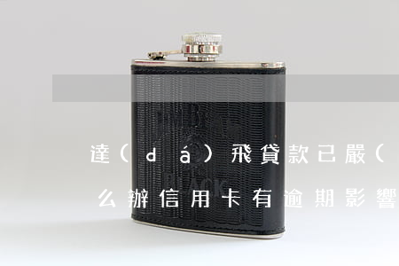 達(dá)飛貸款已嚴(yán)重逾期怎么辦（信用卡有逾期影響達(dá)飛借款嗎）