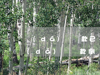 達(dá)飛貸款已嚴(yán)重逾期(達(dá)飛貸款倒閉催收)