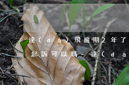 達(dá)飛逾期2年了現(xiàn)在起訴可以嗎-達(dá)飛逾期被起訴了要怎么辦