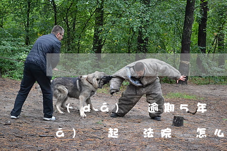 達(dá)飛逾期5年會告上法院嗎(達(dá)飛起訴法院會怎么判)
