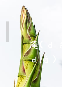 達(dá)飛逾期的最近有被起訴的嗎（達(dá)飛逾期會(huì)被起訴嗎）