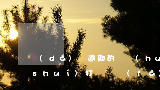 達(dá)飛逾期的話會(huì)給誰(shuí)打電話發(fā)信息-達(dá)飛逾期會(huì)被起訴嗎