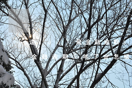 達(dá)飛金融逾期3年了(達(dá)飛金融逾期3年了會怎樣)