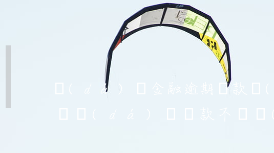 達(dá)飛金融逾期還款會(huì)怎樣(達(dá)飛貸款不還會(huì)不會(huì)去法院了)