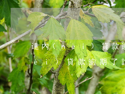 達內(nèi)貸款逾期了說上門(達內(nèi)貸款逾期了說上門)