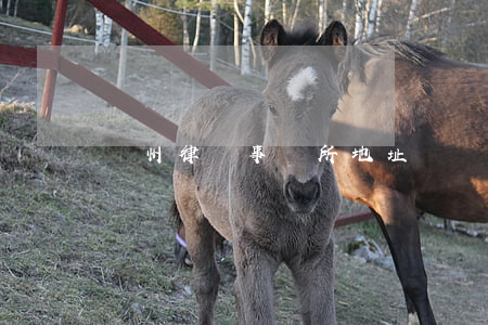 達州律師事務所地址