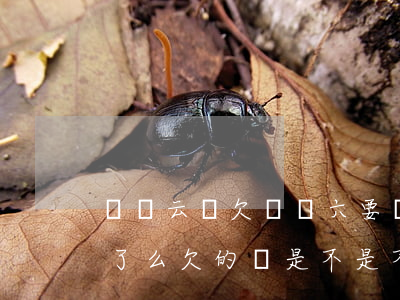 達飛云貸欠兩萬六要還五萬多(達飛云貸倒閉了么?欠的錢是不是不用還了)