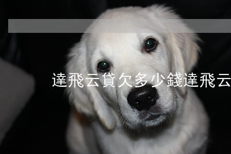達飛云貸欠多少錢(達飛云貸最近怎么樣了啊?)