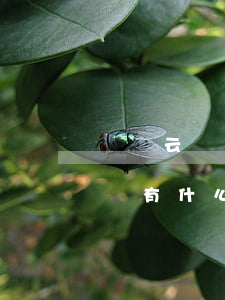 達飛云貸欠錢能起訴嗎-達飛云貸借款不還會有什么后果