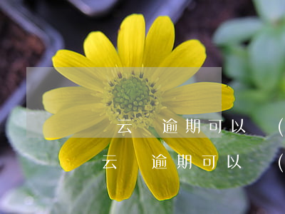 達飛云貸逾期可以協(xié)商還款嗎(達飛云貸逾期可以協(xié)商還款嗎)