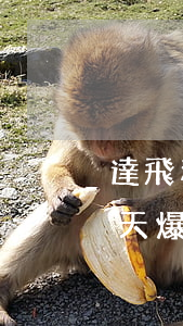 達飛利息逾期一天爆通訊錄 達飛利息逾期一天爆通訊錄