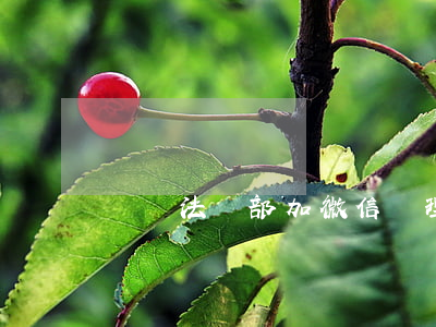 達飛法務部加微信處理逾期