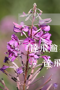 達飛逾期三年會影響孩子上學(xué)嗎-達飛逾期3年后會不會起訴