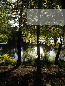 達飛逾期多久會上法院(達飛告到法院是真的嗎)