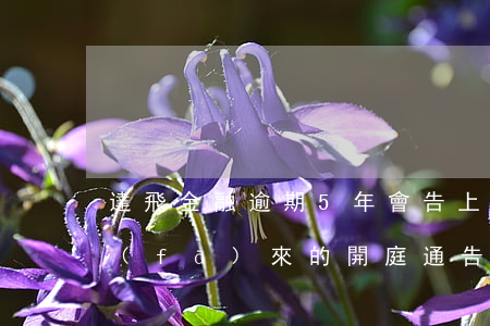達飛金融逾期5年會告上法院嗎(達飛金融發(fā)來的開庭通告真的嗎)