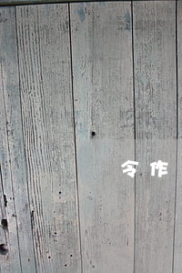 違令作戰(zhàn)消極罪認定